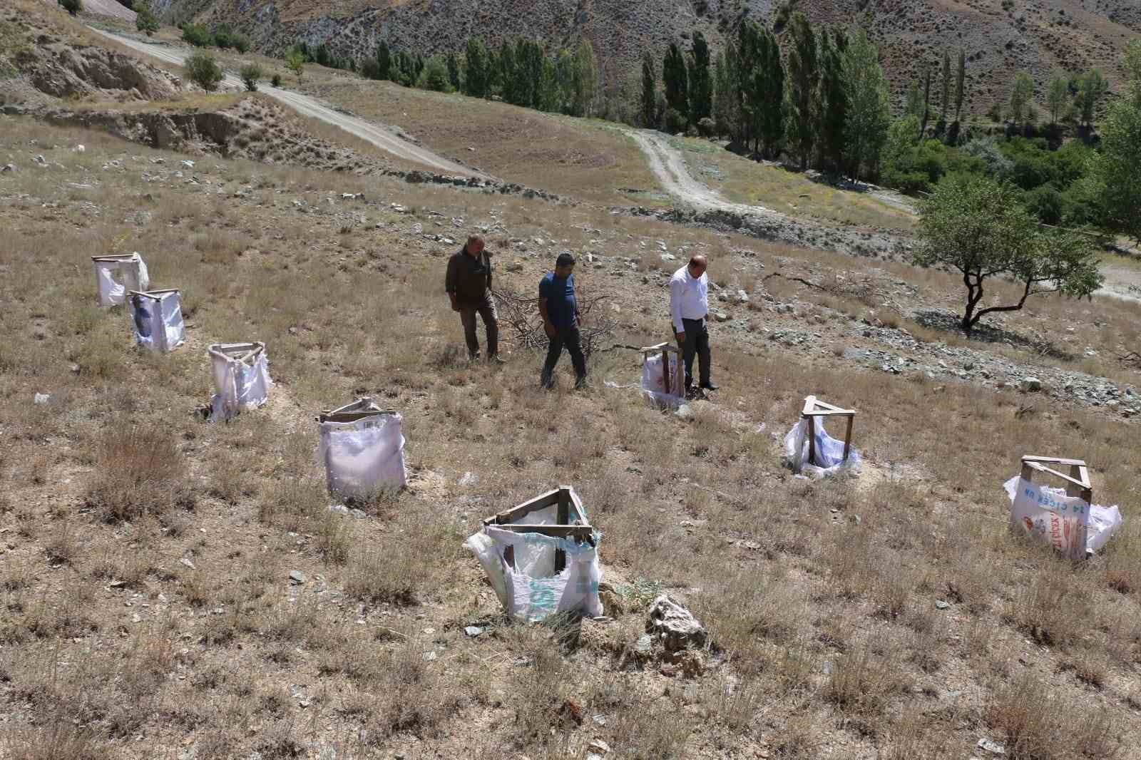 Erzincan’da tuz çalısı Demonstrasyonu sürüyor
