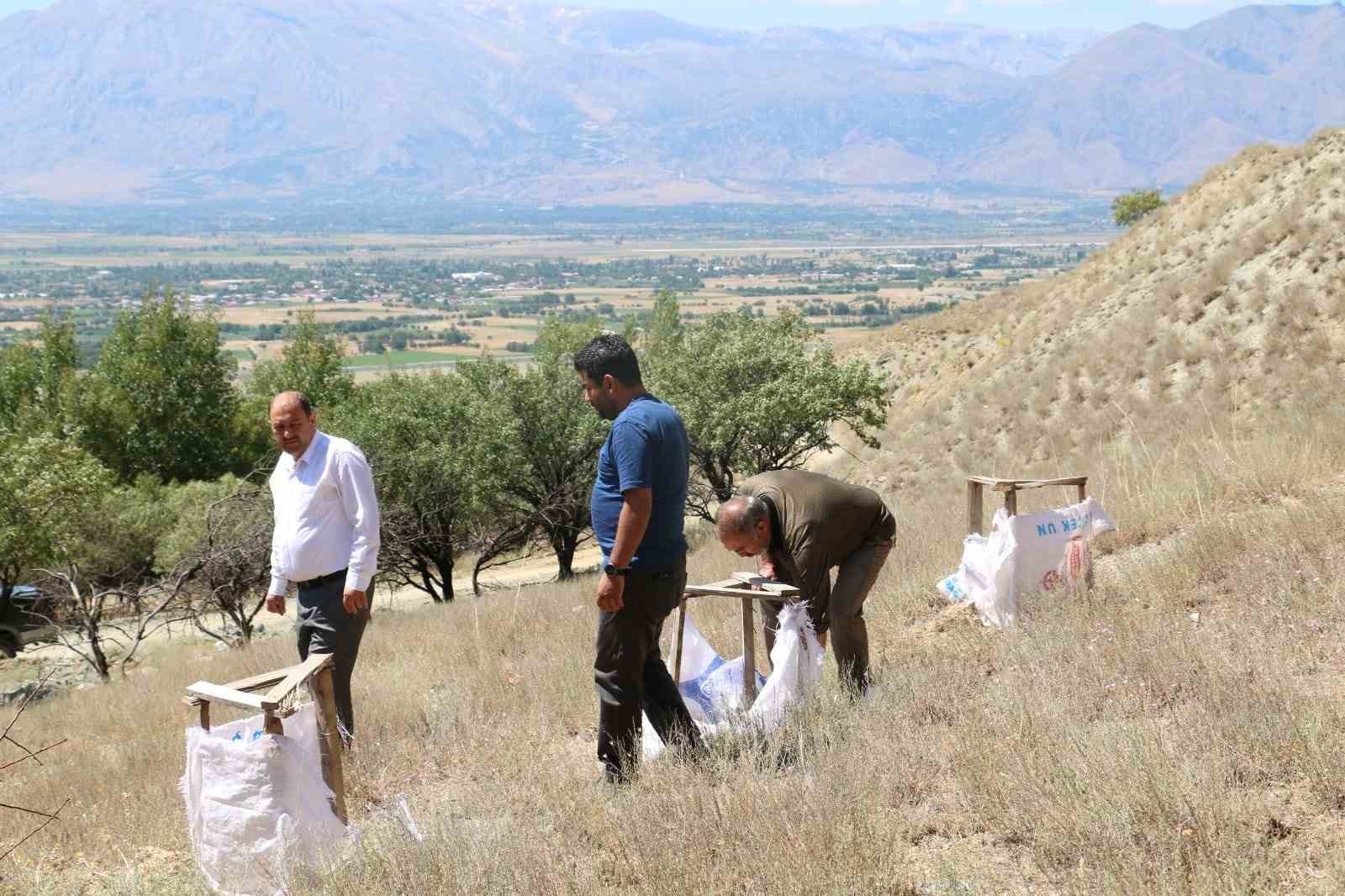 Erzincan’da tuz çalısı Demonstrasyonu sürüyor
