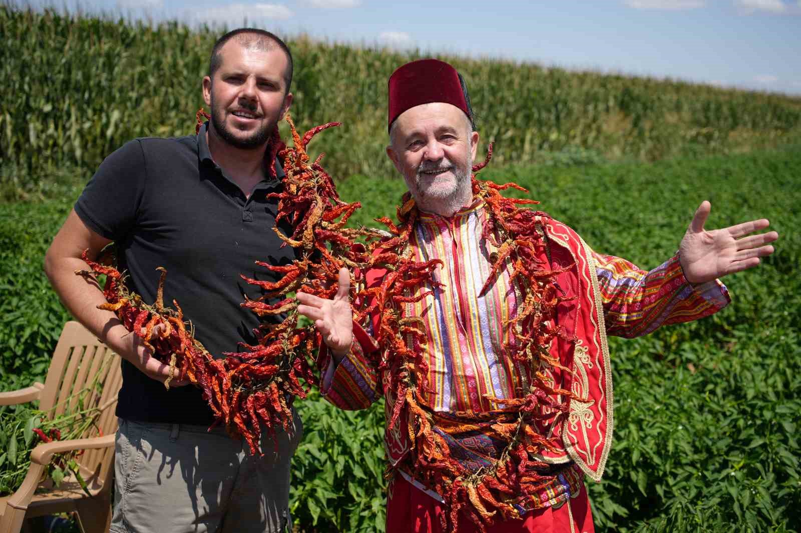 Edirne’de kavurucu sıcaklar Karaağaç biberinde hasadı geciktirdi
