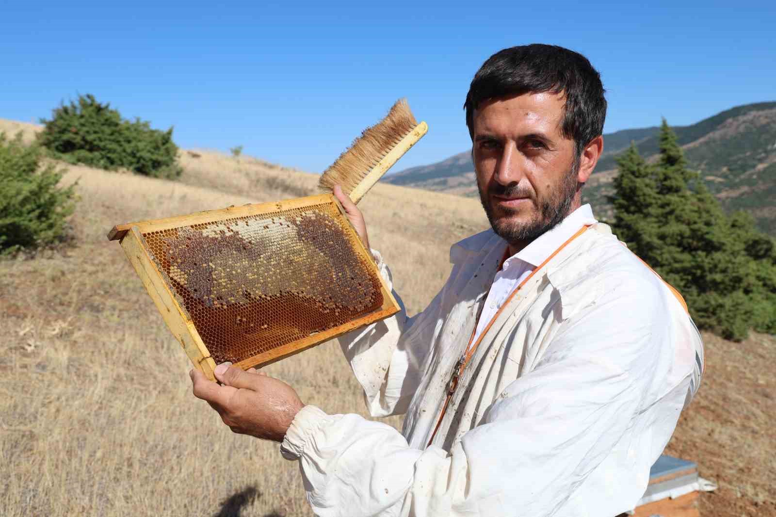 Küresel ısınma arıcıları vurdu, rekoltede bin tondan 500 tona düştü
