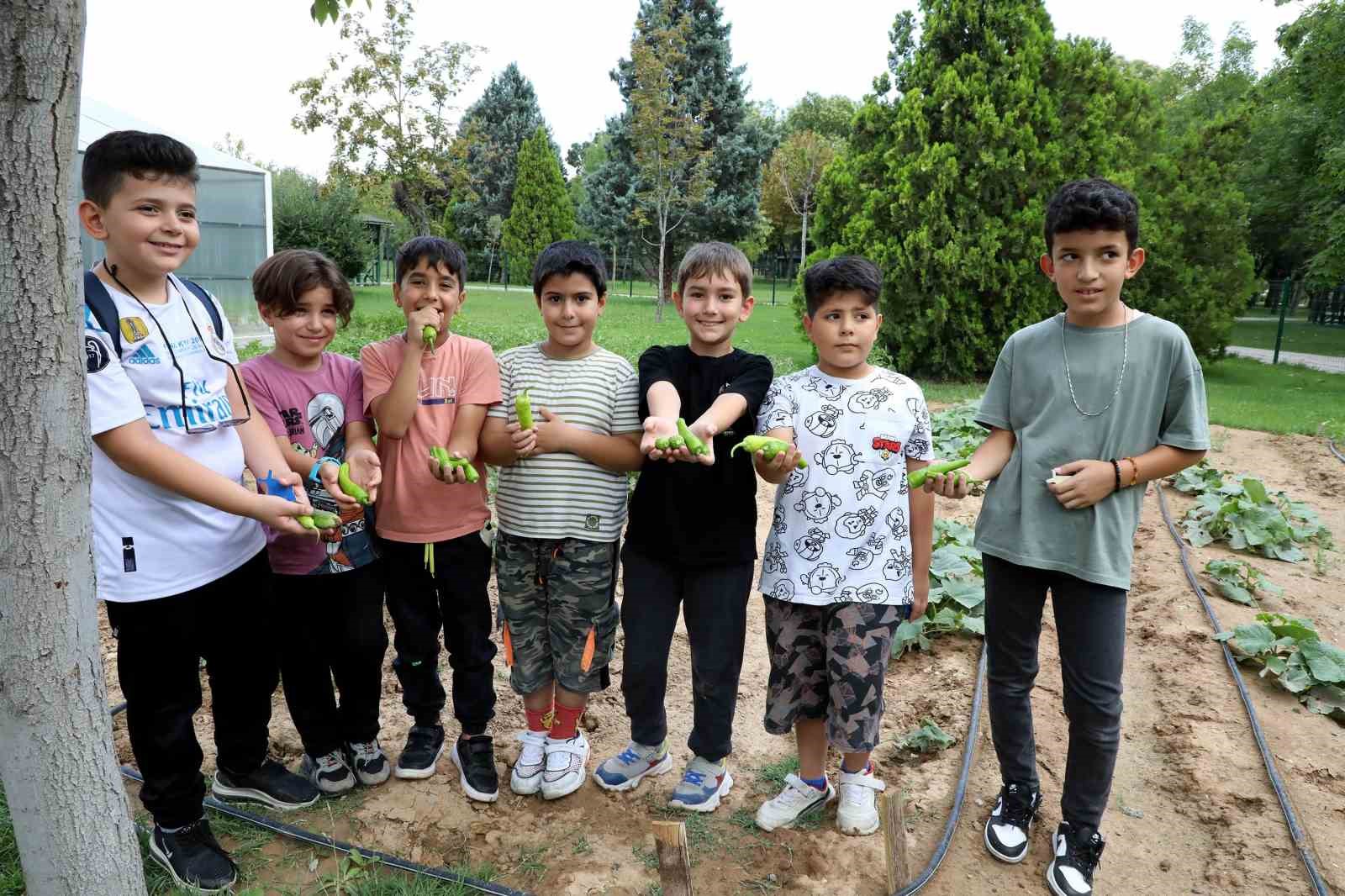 Karatay tabiat mektebi yaz dönemi eğitimleri sürüyor
