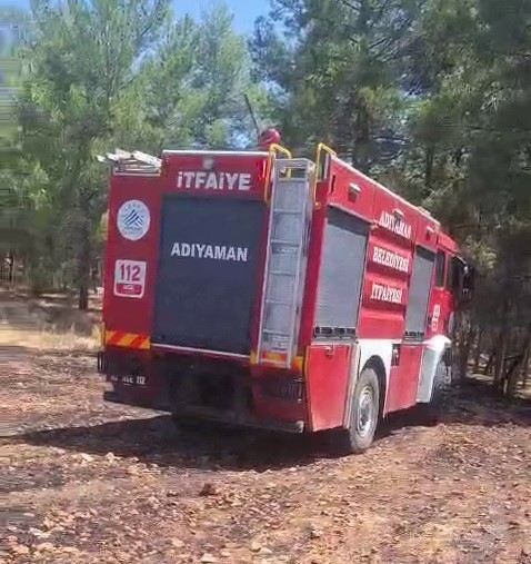 Yangın ormanlık alana sıçramadan söndürüldü
