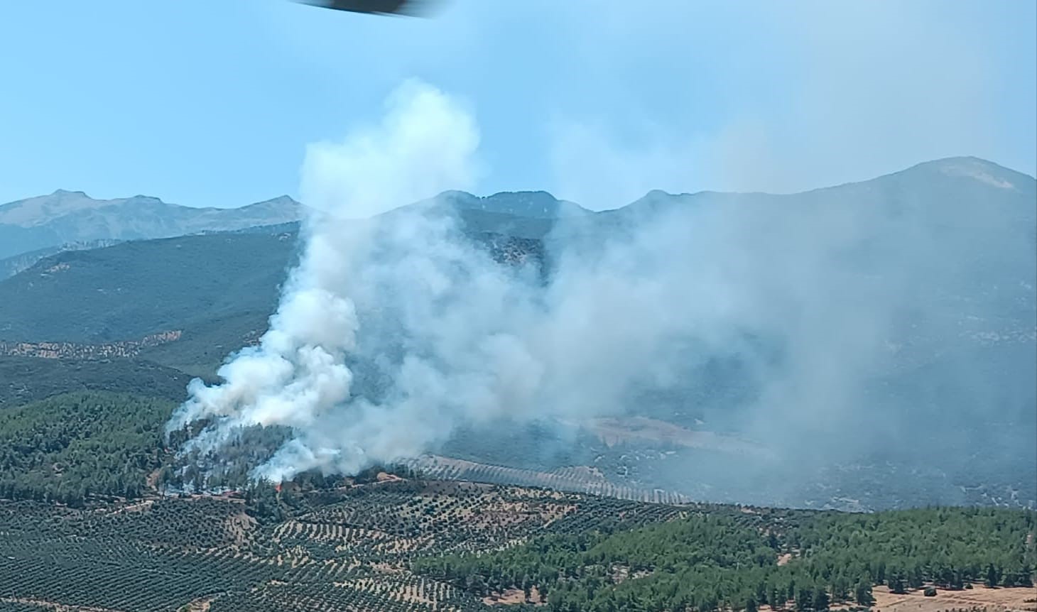 Sondaj aracında başlayan yangın ormana sıçradı
