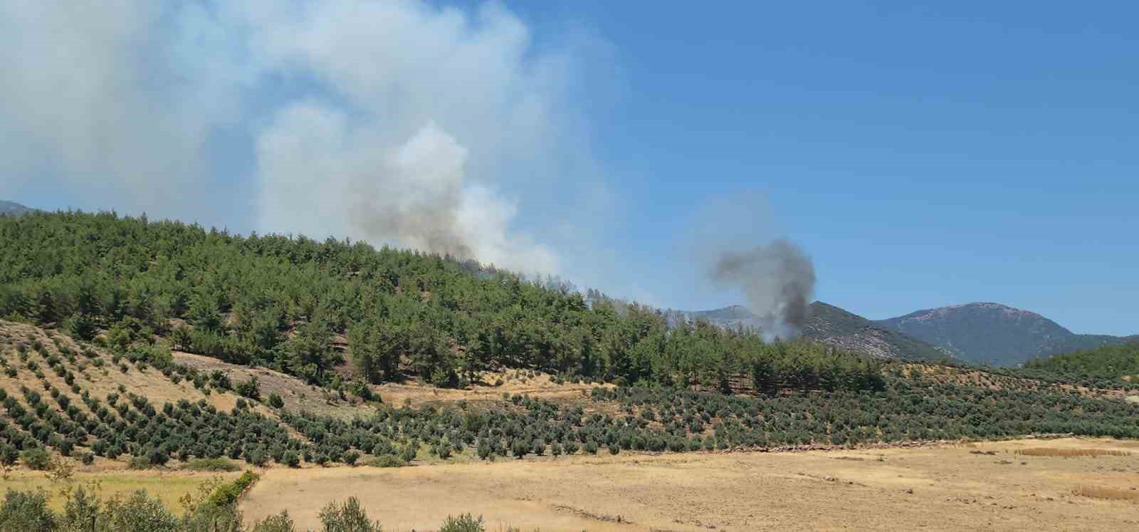 Sondaj aracında başlayan yangın ormana sıçradı
