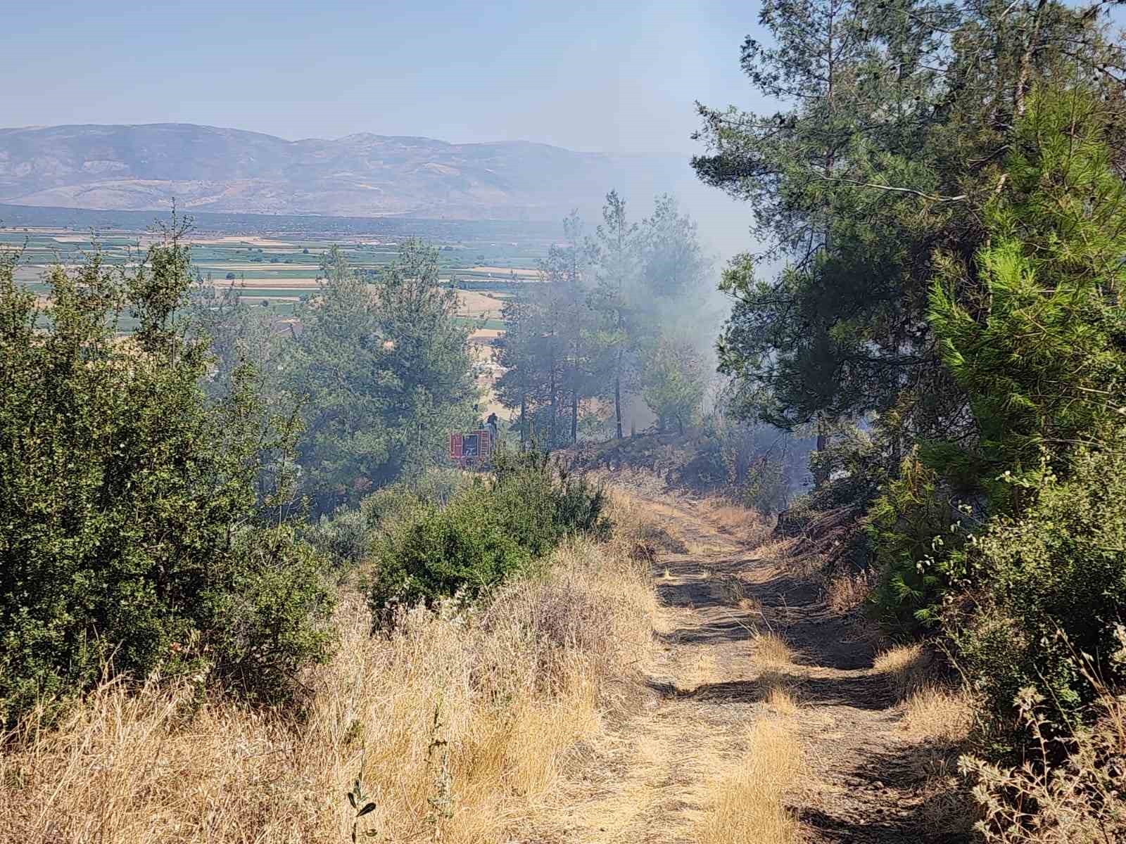 Sondaj aracında başlayan yangın ormana sıçradı
