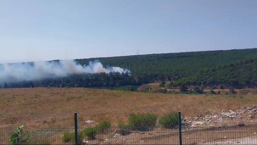 Yalova’da 2 ayrı noktada orman yangını
