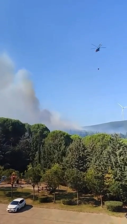 Yalova’da 2 ayrı noktada orman yangını
