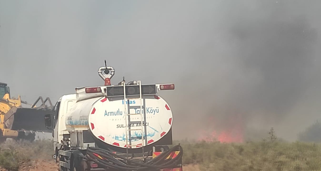 Yalova’da iki noktada çıkan yangınlar kontrol altına alındı
