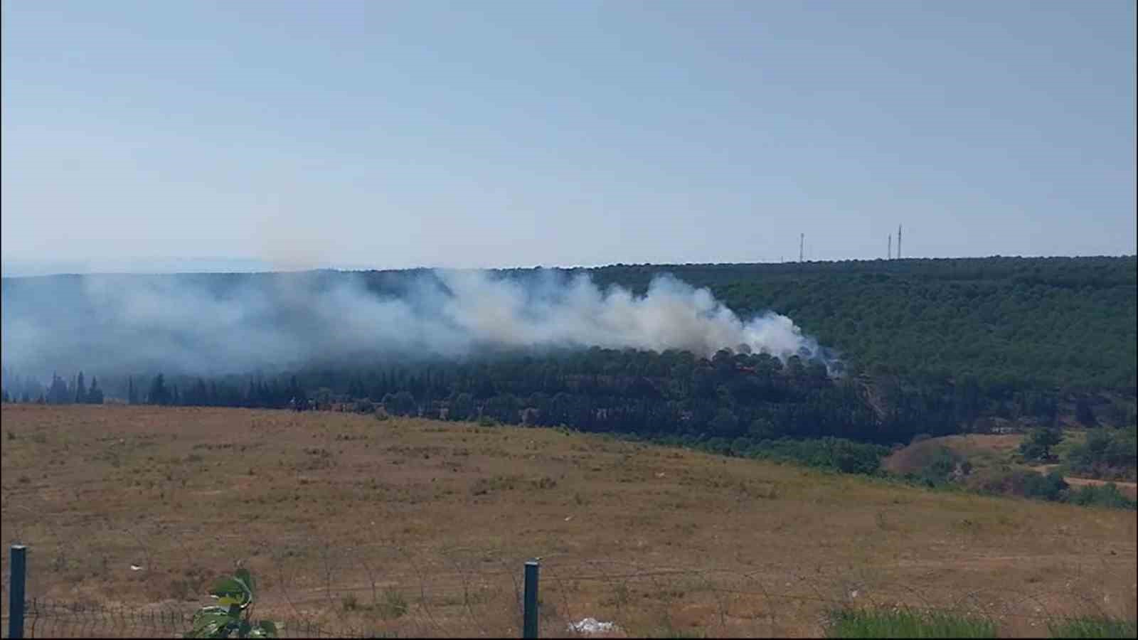 Yalova’da iki noktada çıkan yangınlar kontrol altına alındı
