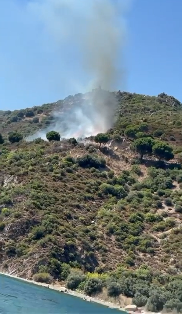 Yalova’da iki noktada çıkan orman yangınları ile ilgili savcılık soruşturma başlattı
