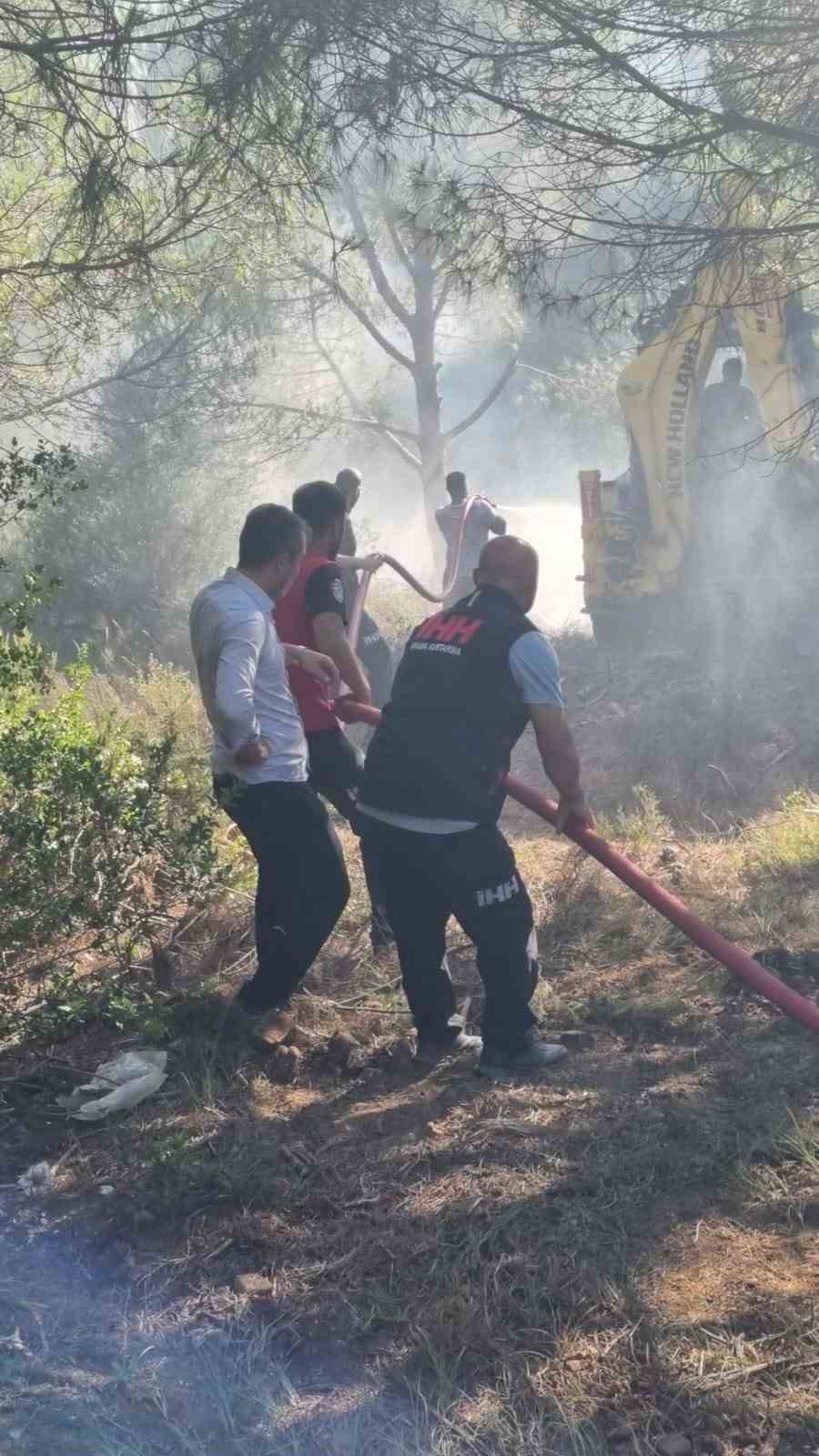 Yalova’da iki noktada çıkan orman yangınları ile ilgili savcılık soruşturma başlattı
