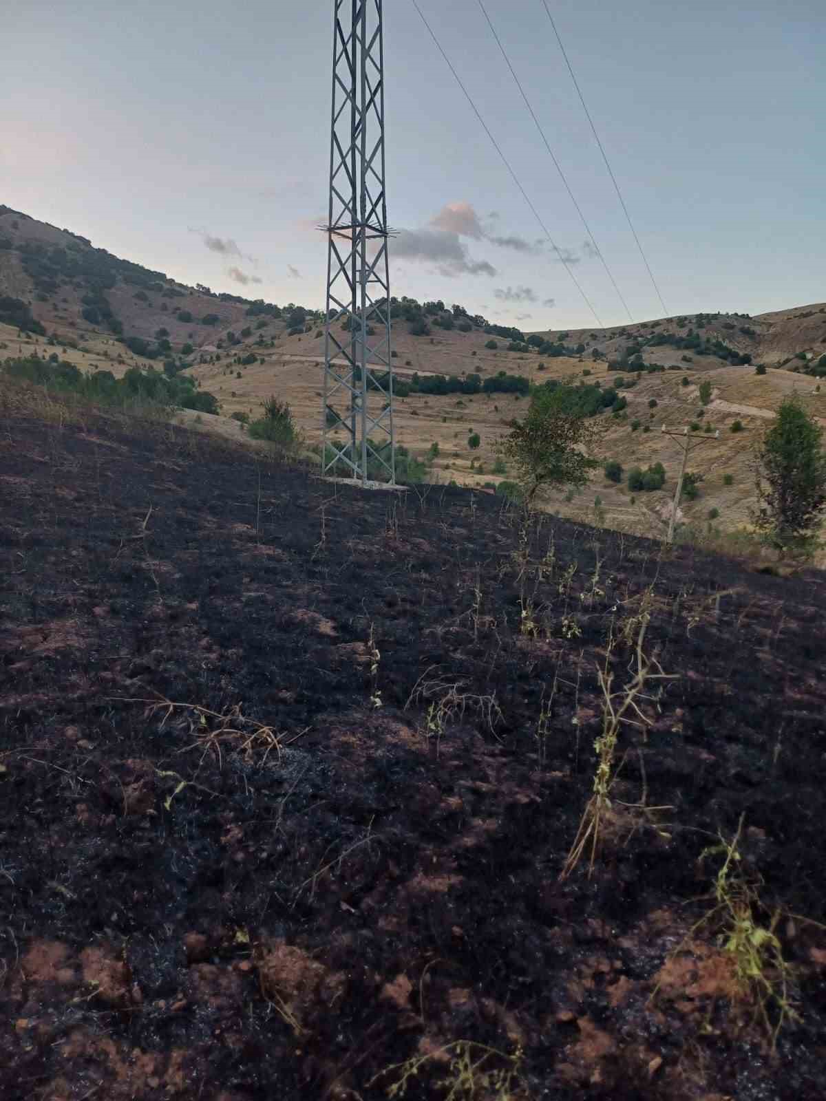 Bingöl’de otluk alandaki yangın ormana sıçramadan söndürüldü
