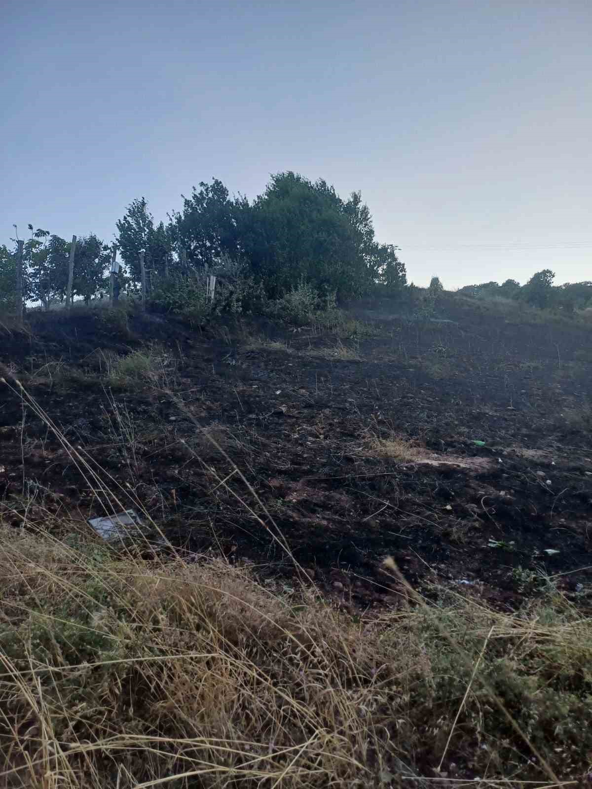 Bingöl’de otluk alandaki yangın ormana sıçramadan söndürüldü
