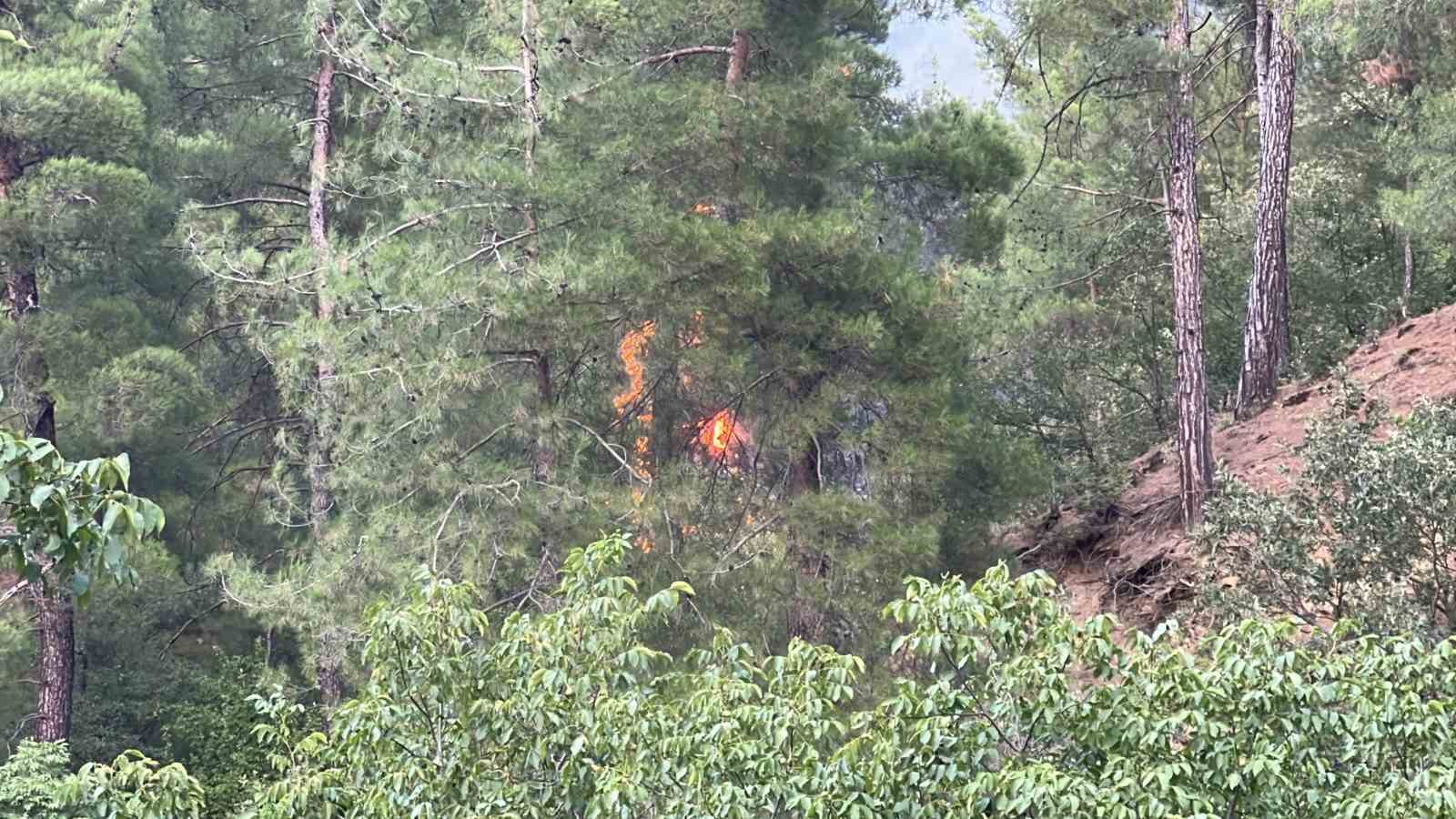 Kahramanmaraş’taki orman yangını piknikçi ateşinden çıkmış
