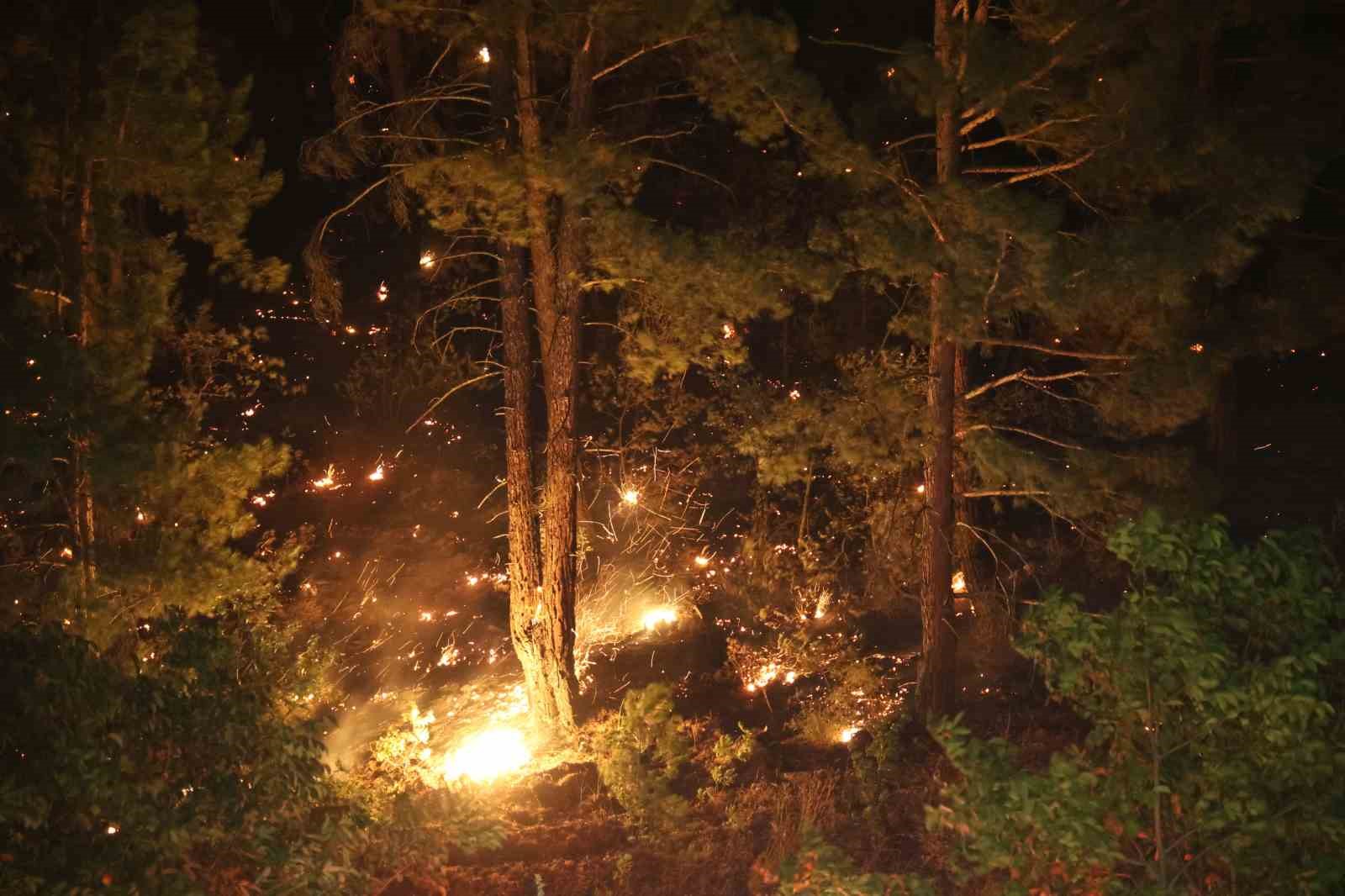 Kahramanmaraş’taki orman yangınına gece müdahalesi
