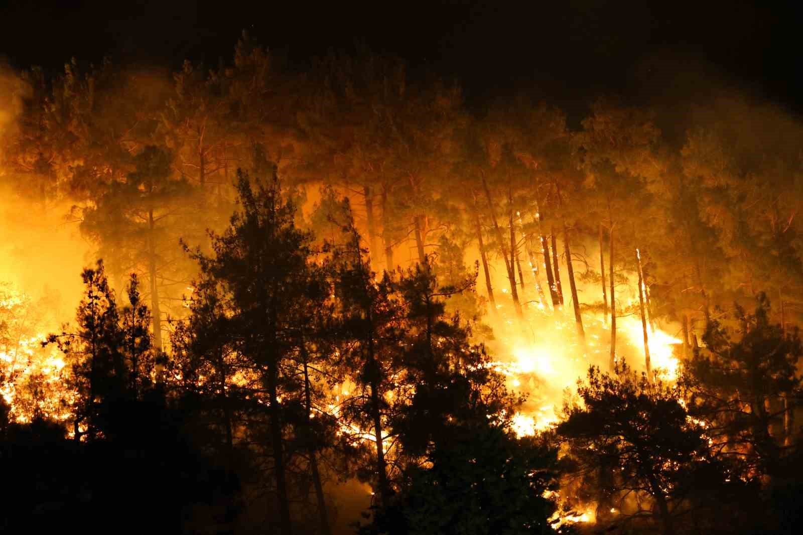 Kahramanmaraş’taki orman yangınına gece müdahalesi
