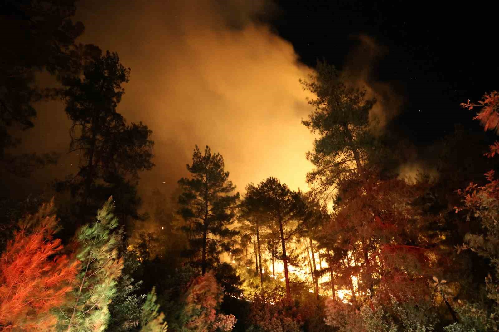 Kahramanmaraş’taki orman yangınına gece müdahalesi
