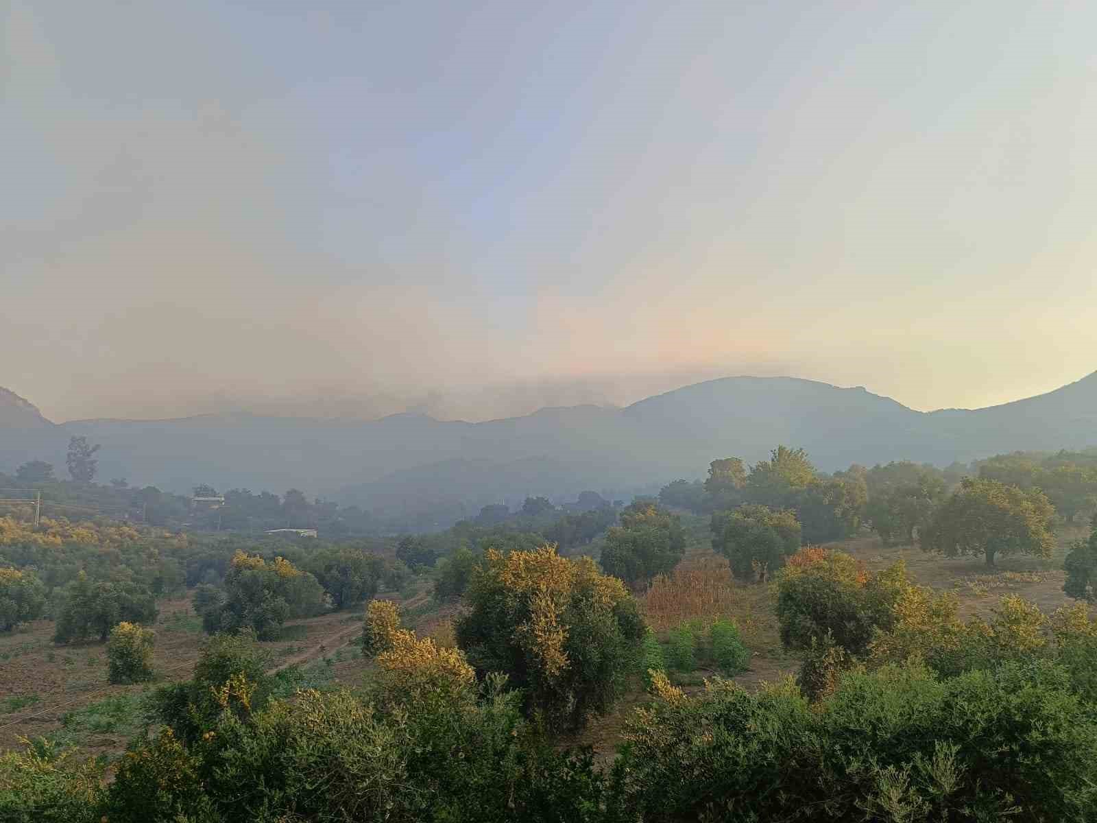 Adana Kozan’da orman yangını
