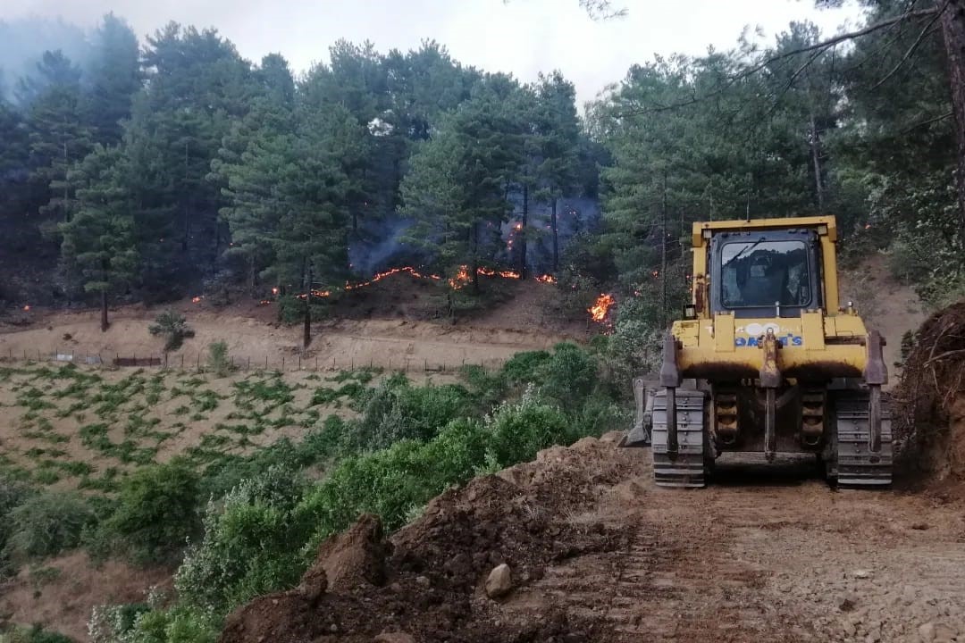 Kahramanmaraş’taki orman yangını kontrol altına alındı
