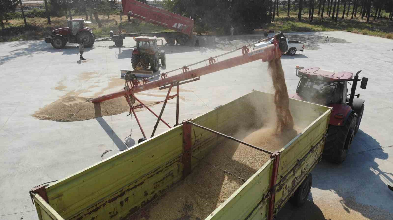 Kahramanmaraş’ta çerezlik ve yağlık ayçiçeği hasadı
