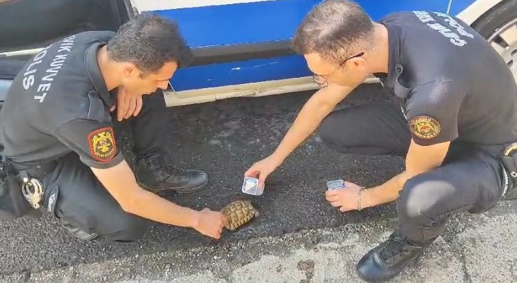 Tekirdağ’da anız ve orman yangınlarına çevik kuvvet desteği
