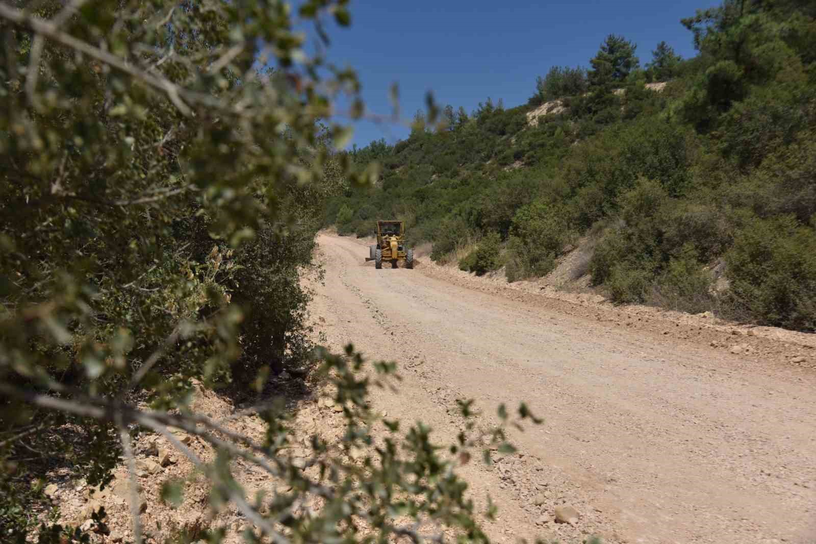 Atatürk Ormanı’nda bakım devam ediyor
