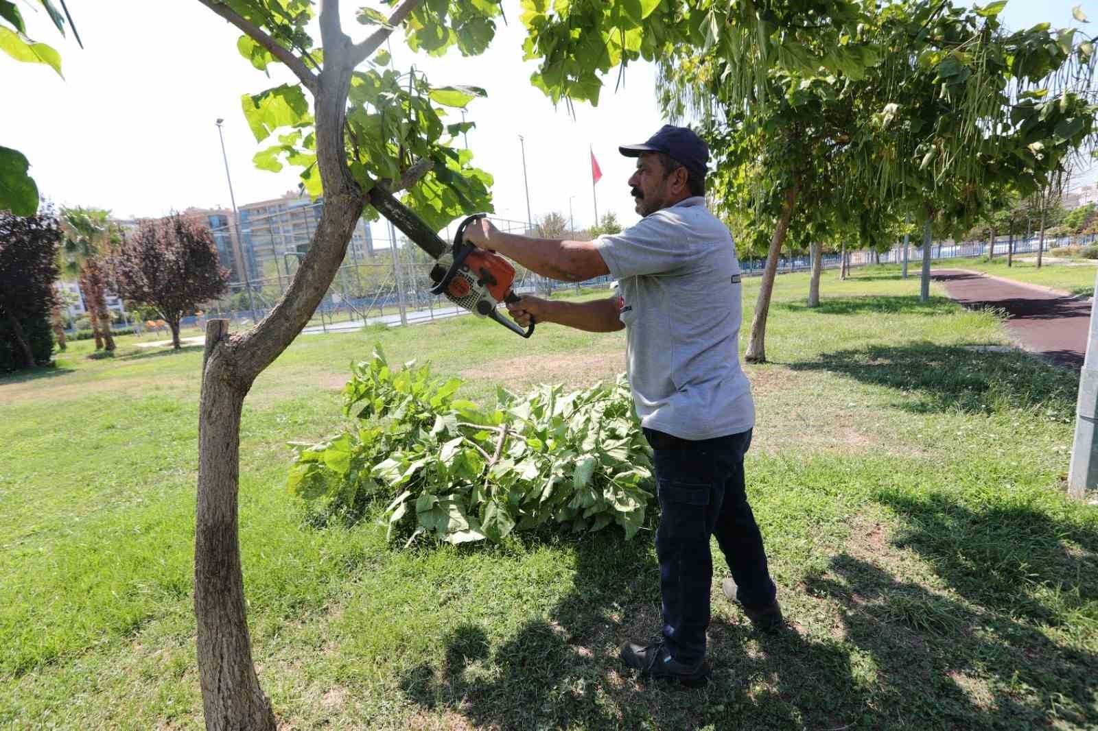 Daha yeşil ve daha modern Bayraklı için hummalı çalışma
