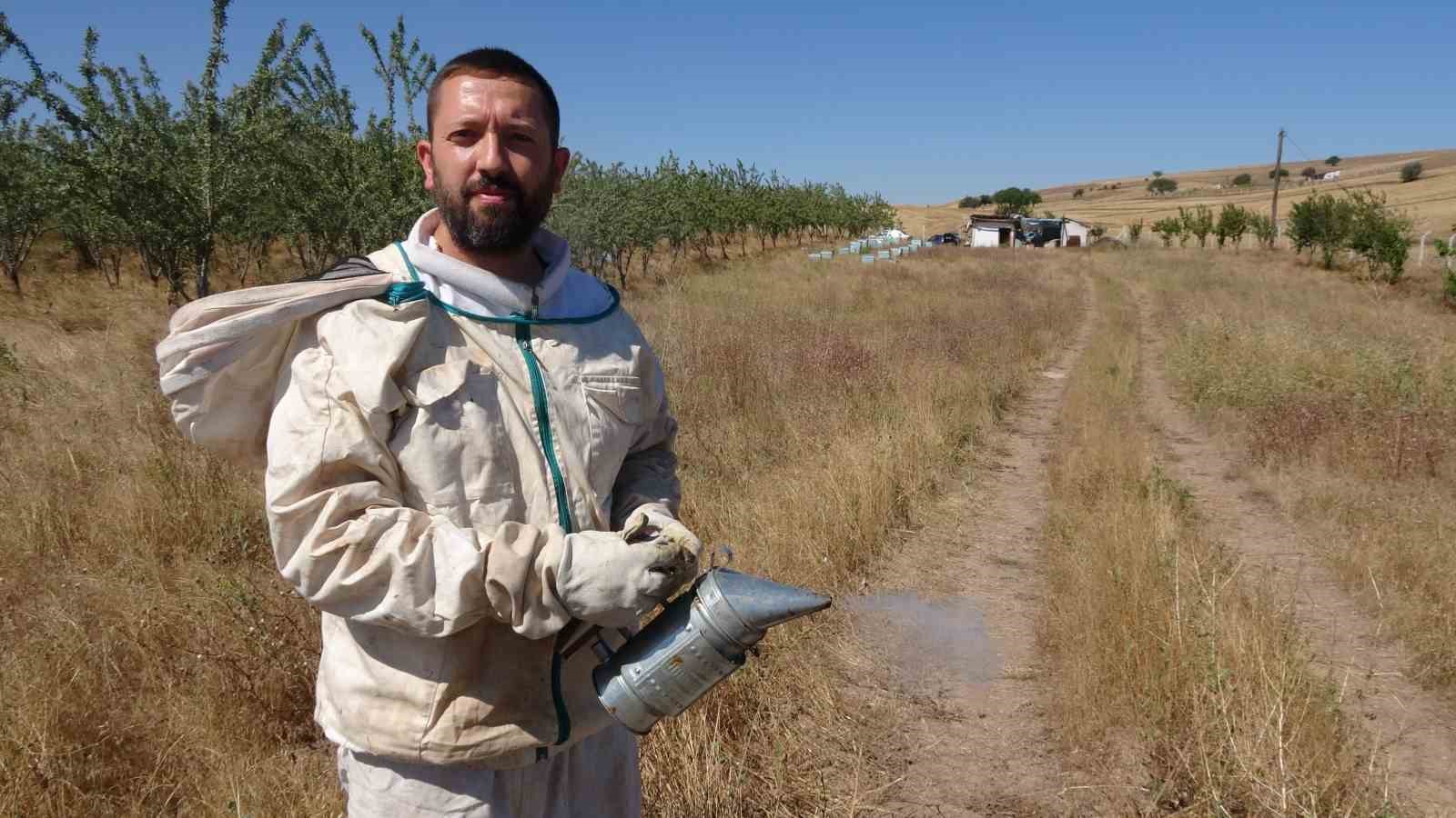 Bozok Yaylası’nda bal hasadı bir ay erken başladı
