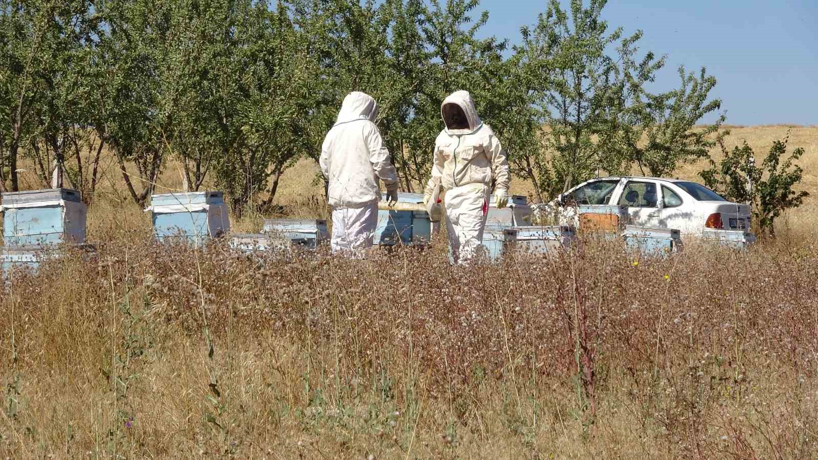 Bozok Yaylası’nda bal hasadı bir ay erken başladı
