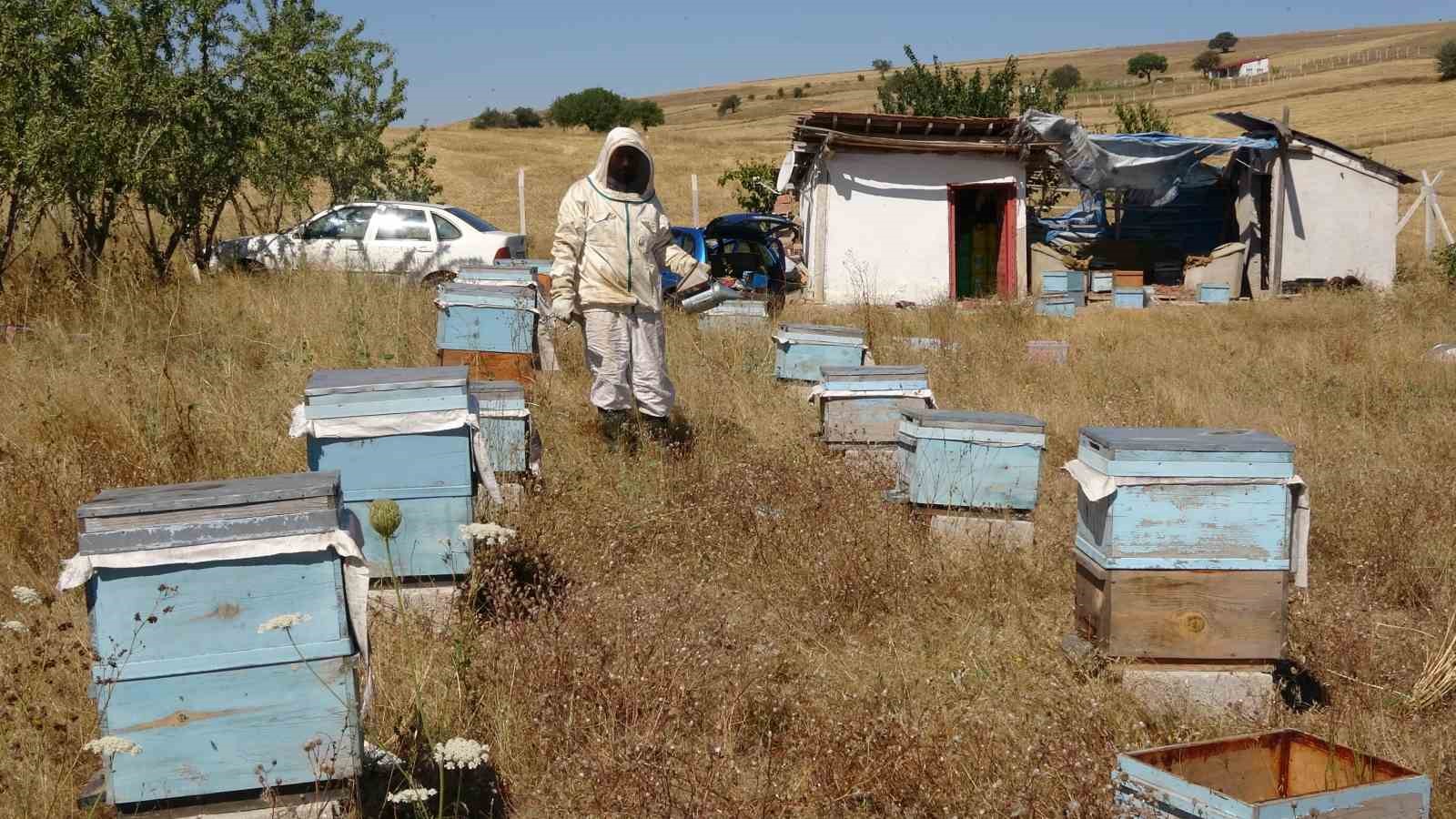 Bozok Yaylası’nda bal hasadı bir ay erken başladı
