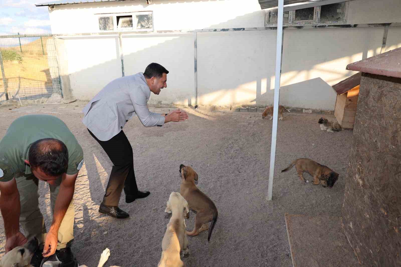 Yeni hayvan kasabası yapılacak
