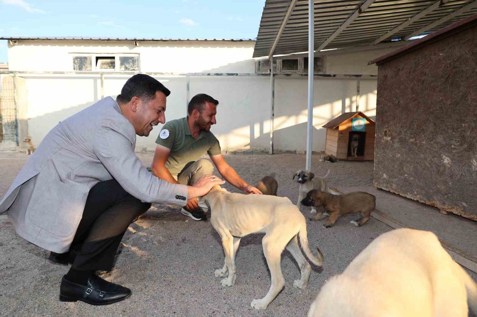 Yeni hayvan kasabası yapılacak
