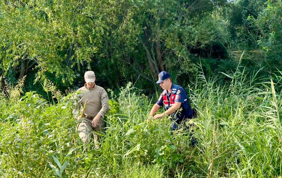 Jandarmanın uyuşturucuyla mücadelesi hız kesmeden devam ediyor
