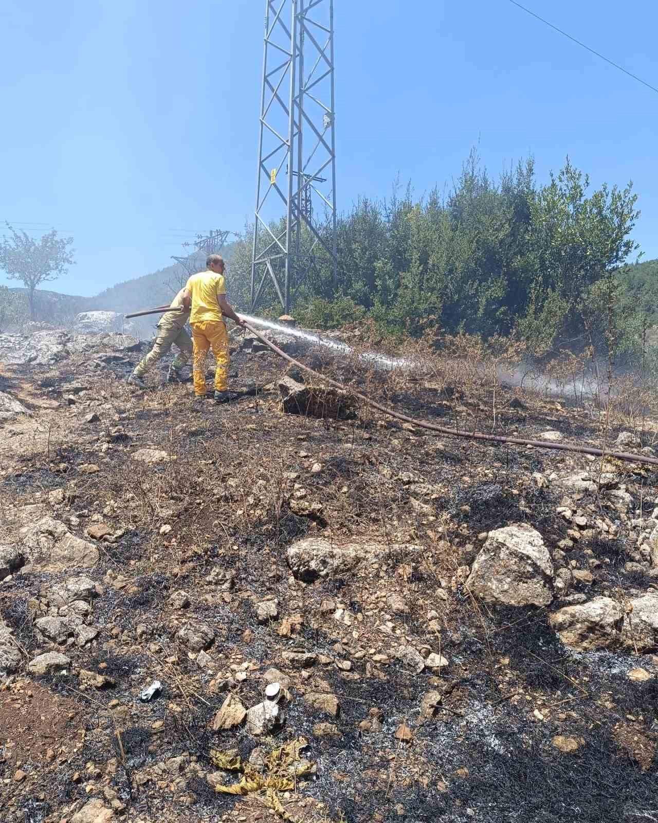 Yayladağı’nda orman yangını
