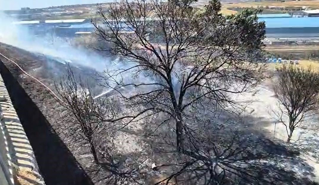 Silivri’de otluk alanda yangın çıktı, yangını söndürmeye çalışan itfaiyeciler arı kovanları için seferber oldu
