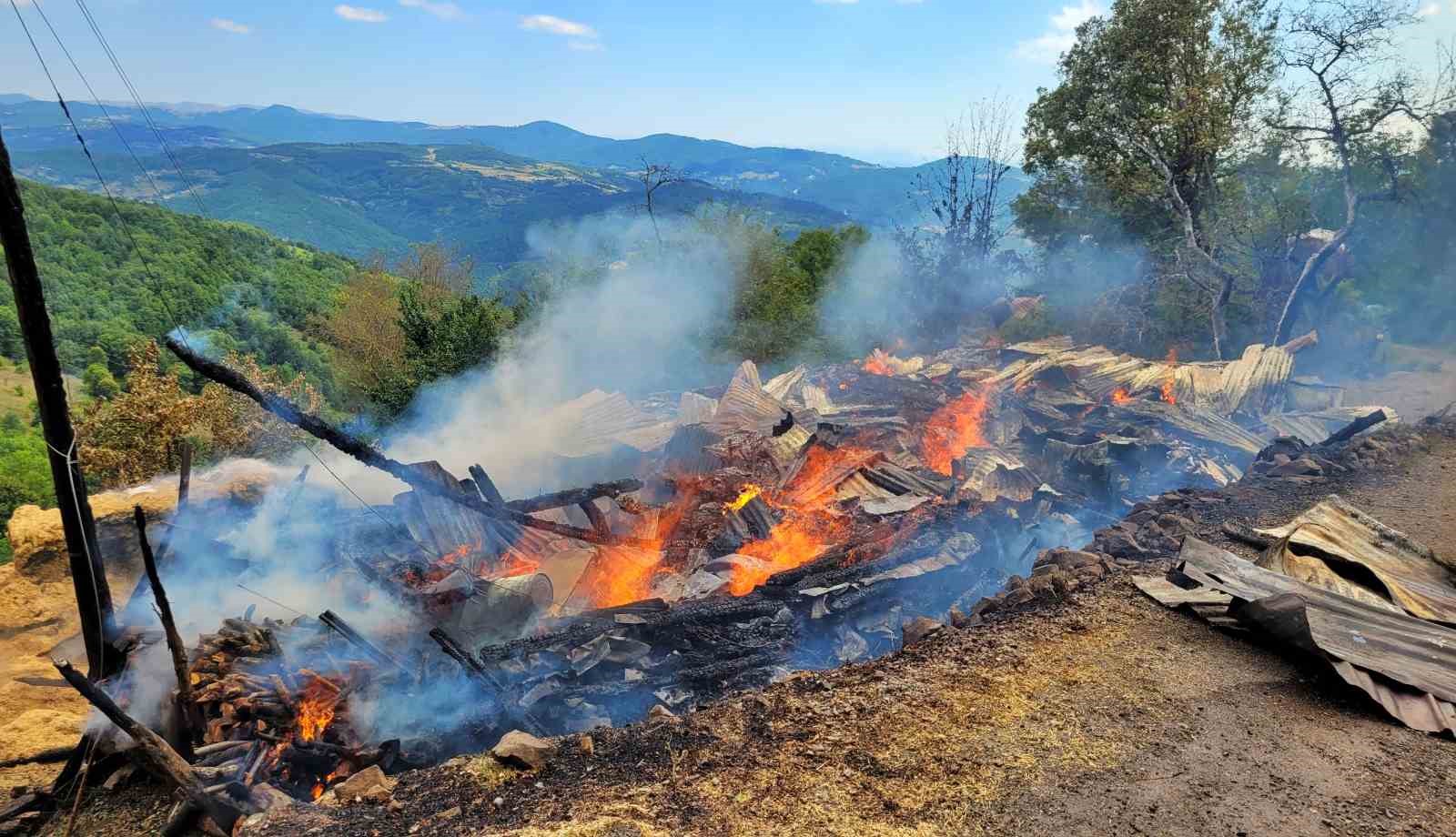 Ordu’da elektrik kontağından çıkan yangın bir evi küle çevirdi
