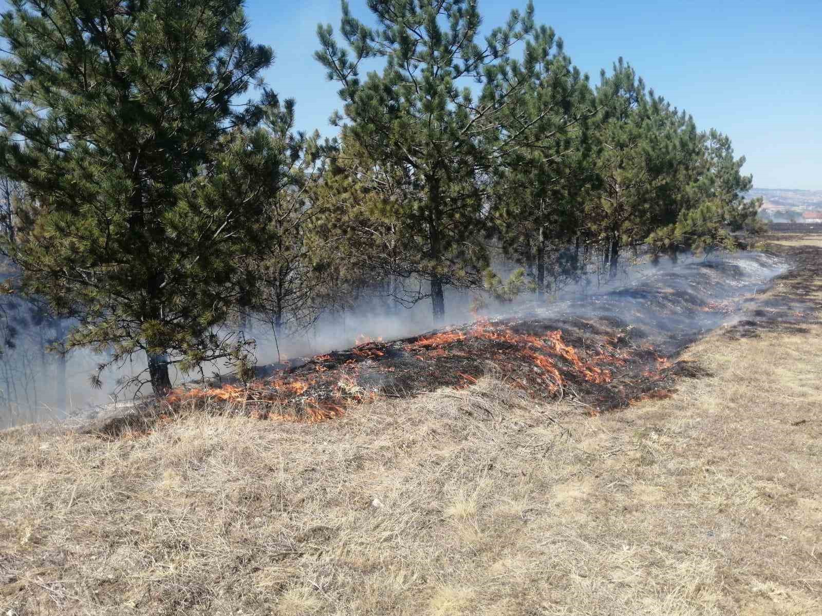 Kastamonu’da tarlada çıkan yangın ormana sıçradı: Hızlı müdahale ile söndürüldü
