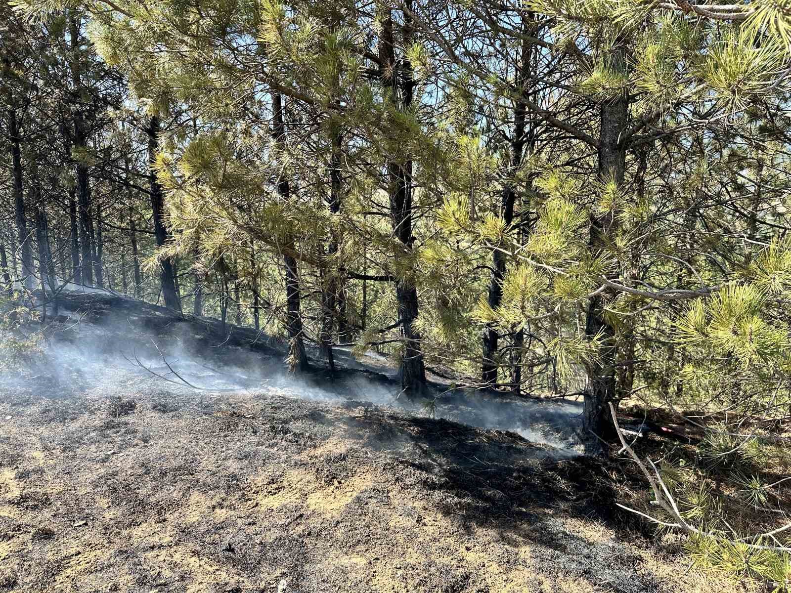 Kastamonu’da tarlada çıkan yangın ormana sıçradı: Hızlı müdahale ile söndürüldü
