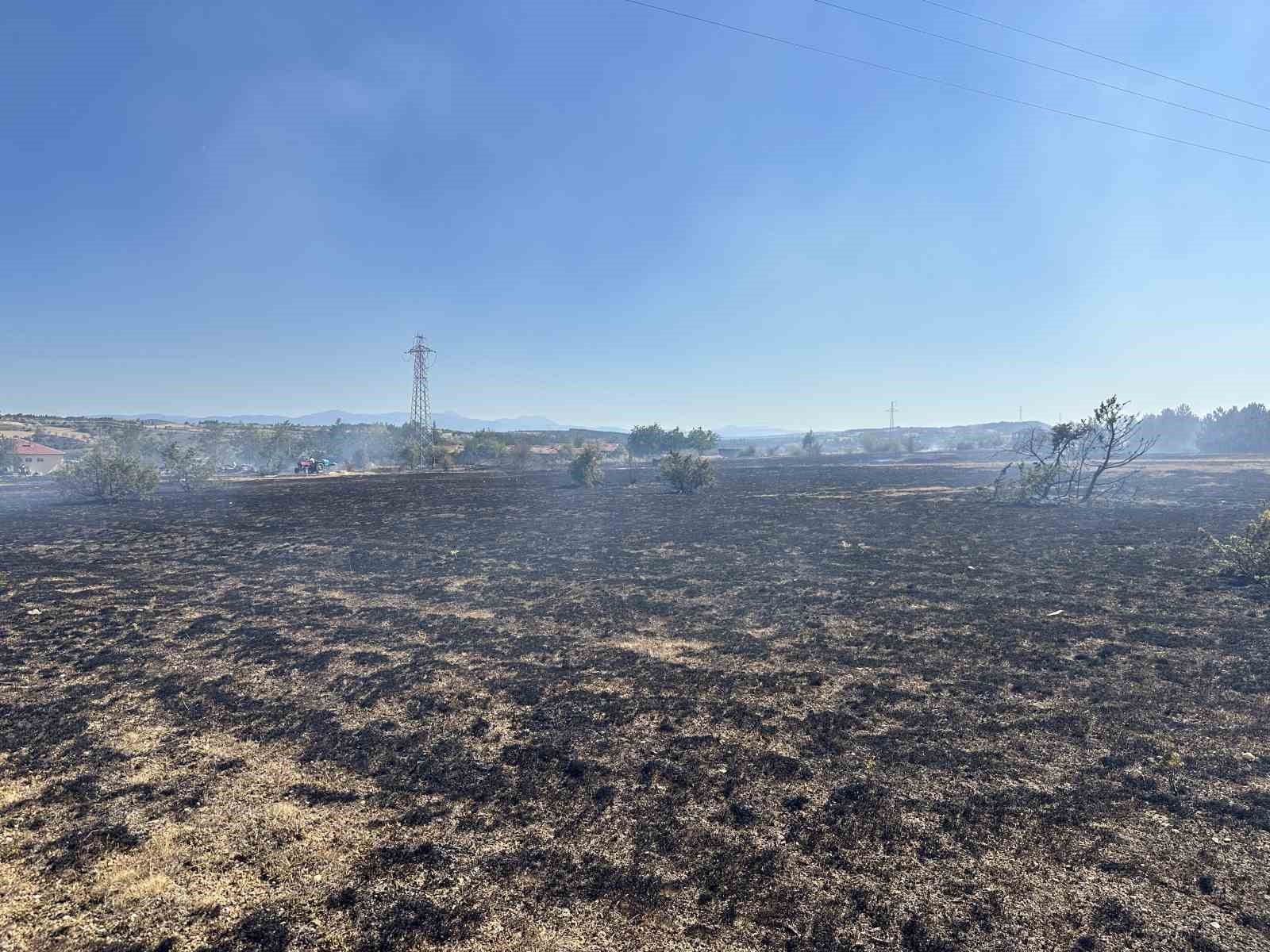 Kastamonu’da tarlada çıkan yangın ormana sıçradı: Hızlı müdahale ile söndürüldü
