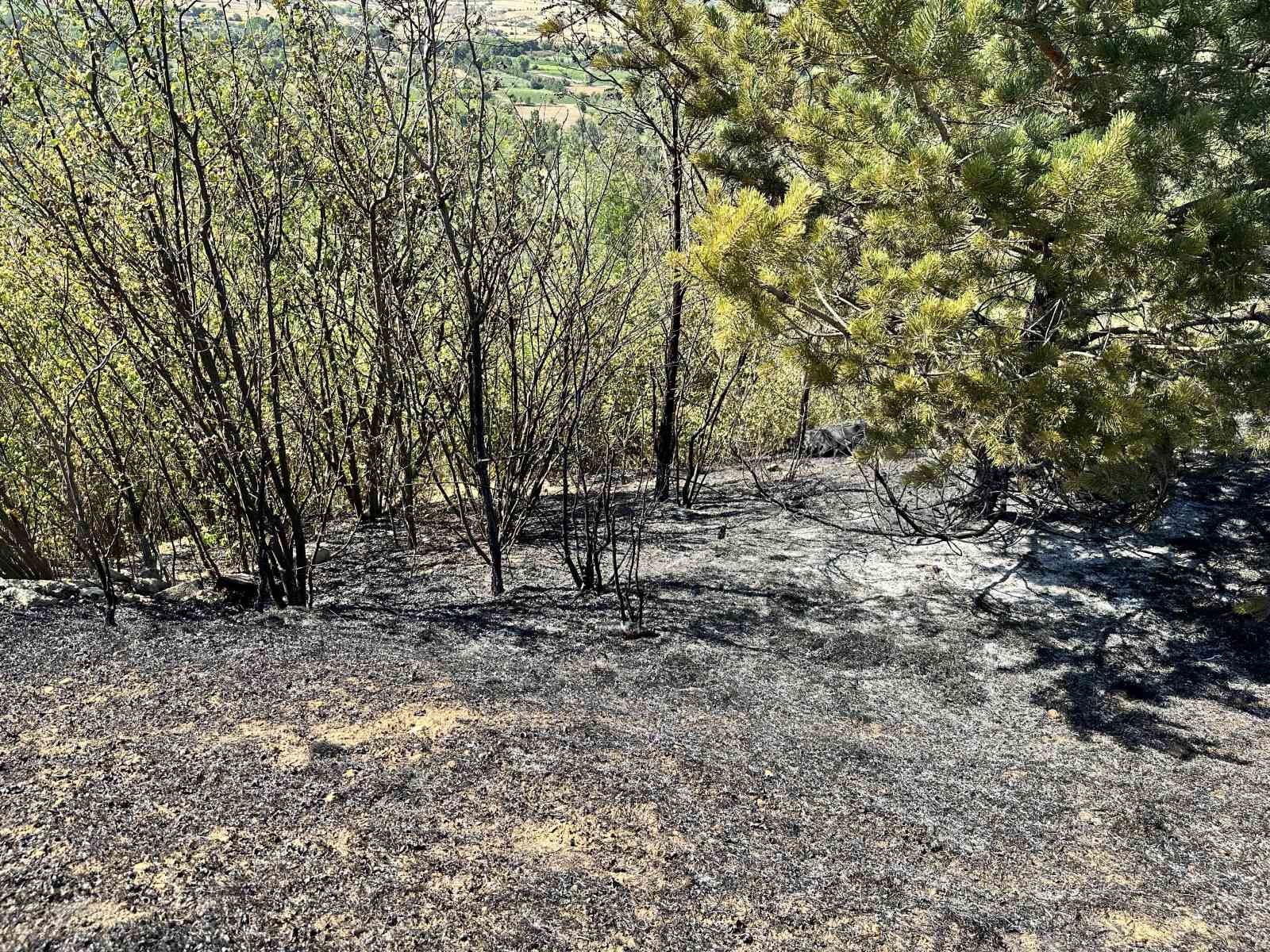 Kastamonu’da tarlada çıkan yangın ormana sıçradı: Hızlı müdahale ile söndürüldü
