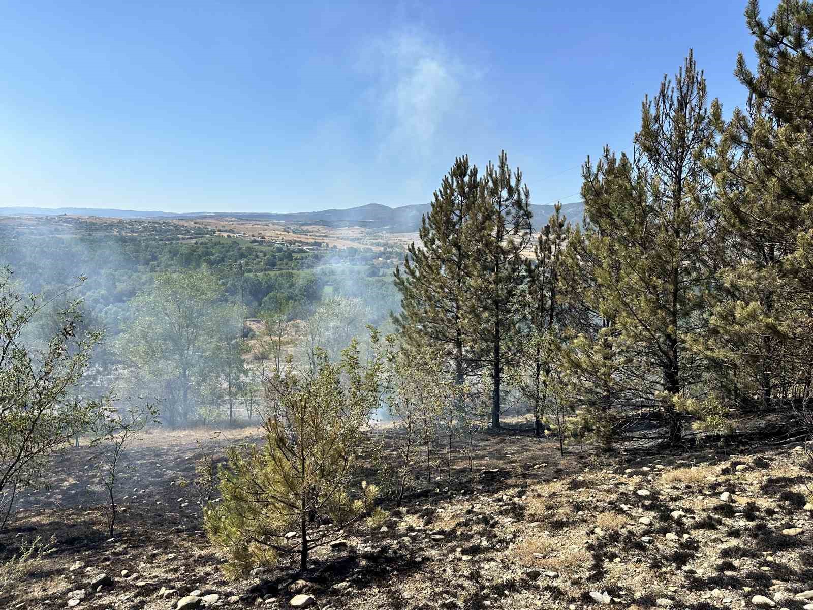 Kastamonu’da tarlada çıkan yangın ormana sıçradı: Hızlı müdahale ile söndürüldü
