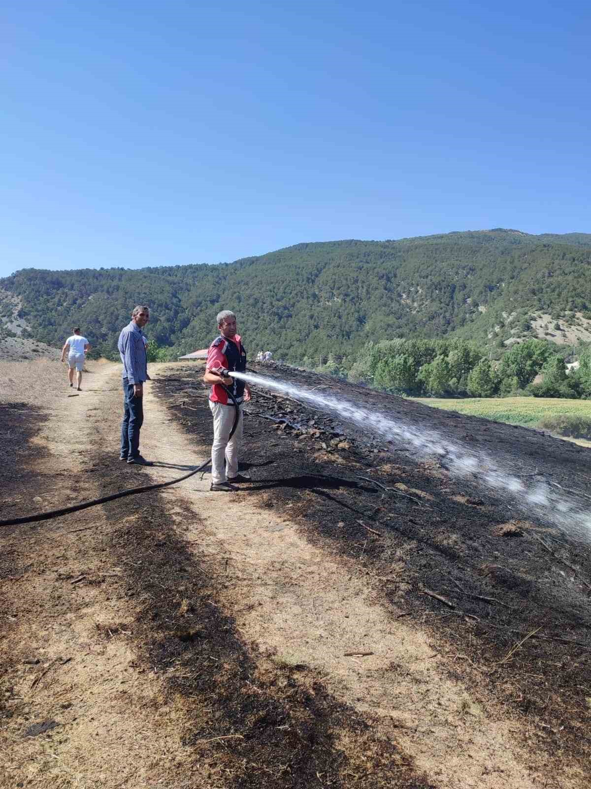 Bolu’da otluk arazide çıkan yangın söndürüldü
