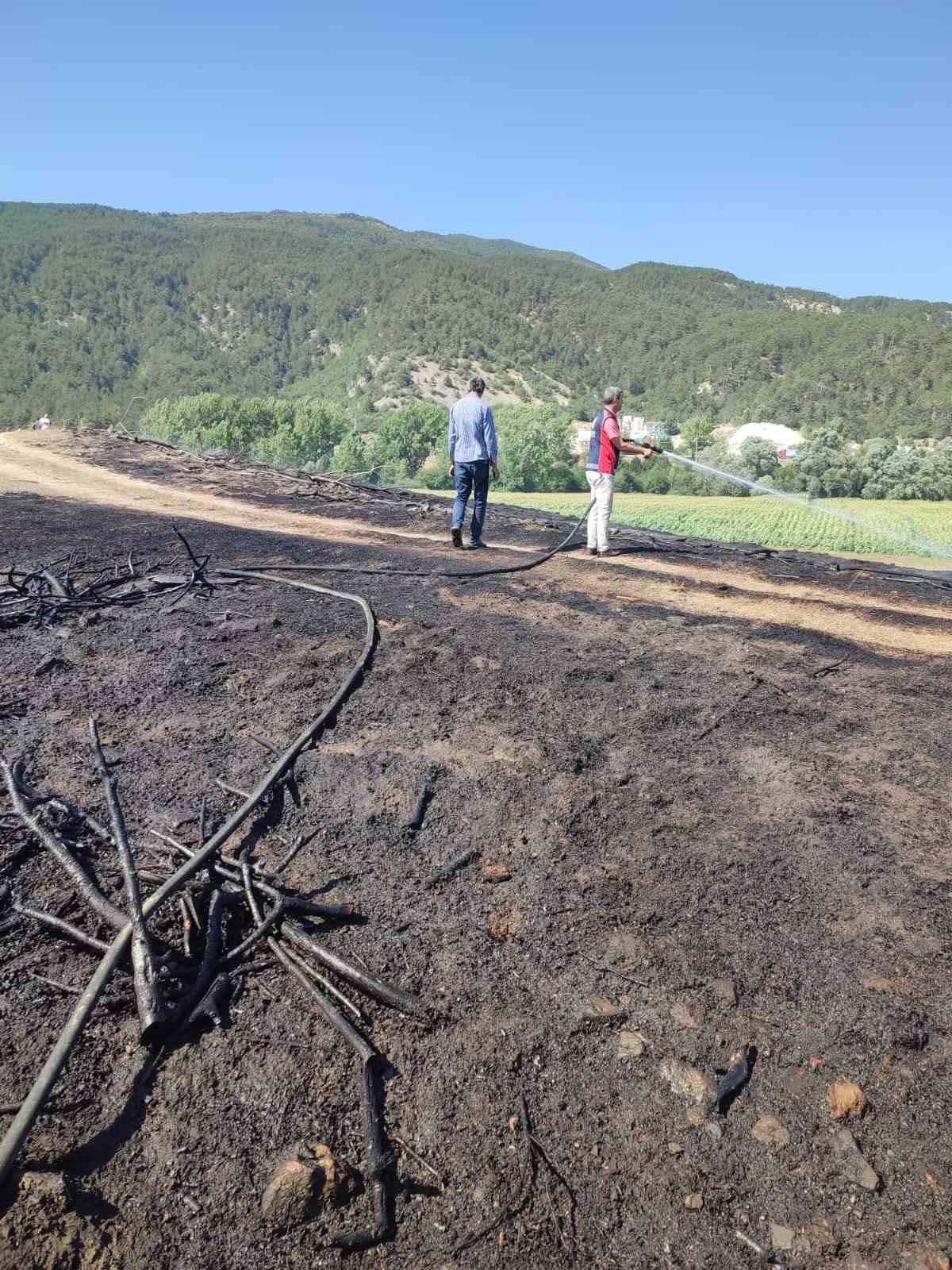 Bolu’da otluk arazide çıkan yangın söndürüldü
