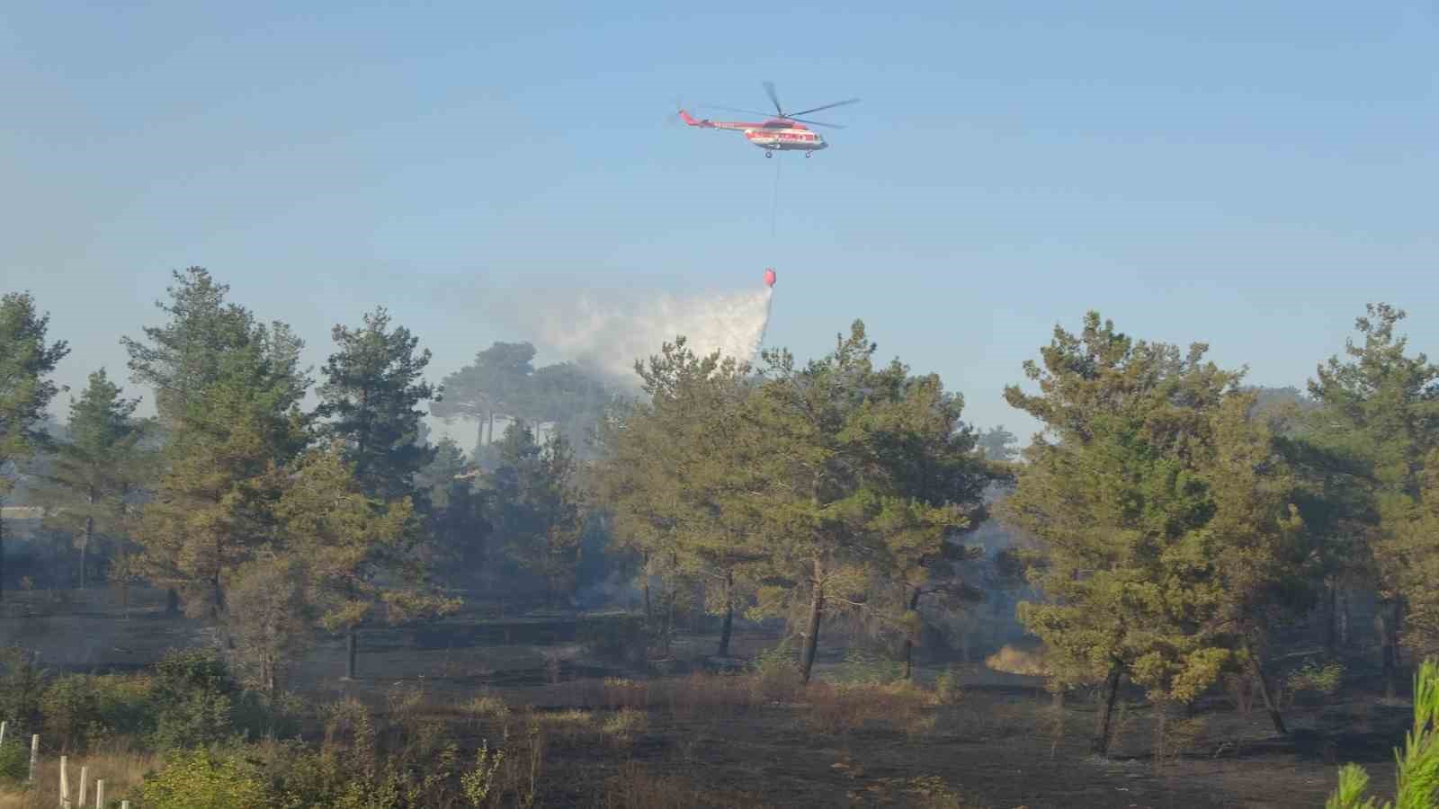 Ayvacık’taki orman yangınına müdahale devam ediyor
