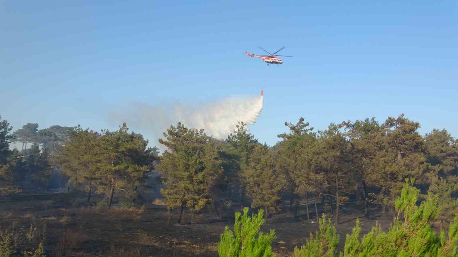 Ayvacık’taki orman yangınına müdahale devam ediyor
