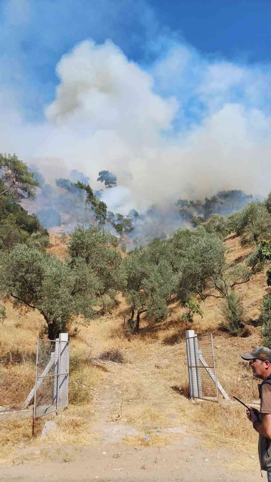 Aydın’daki yangına havadan ve karadan müdahale devam ediyor
