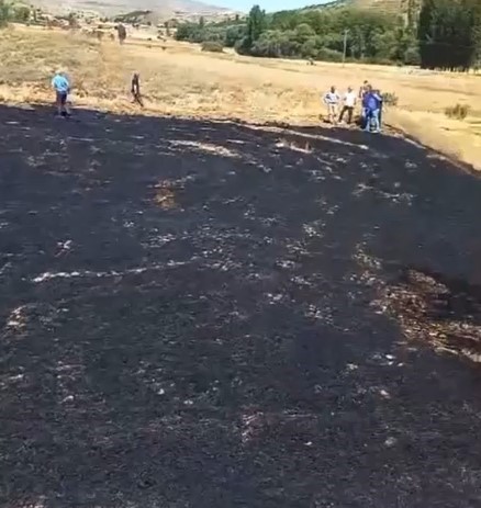 Buğday ekili tarlada çıkan yangın 15 dönüm alanı küle çevirdi
