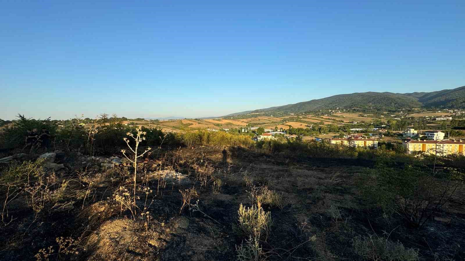 Yalova’da mangal yangına sebep oldu
