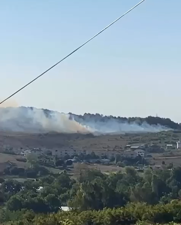 Yalova’da mangal yangına sebep oldu
