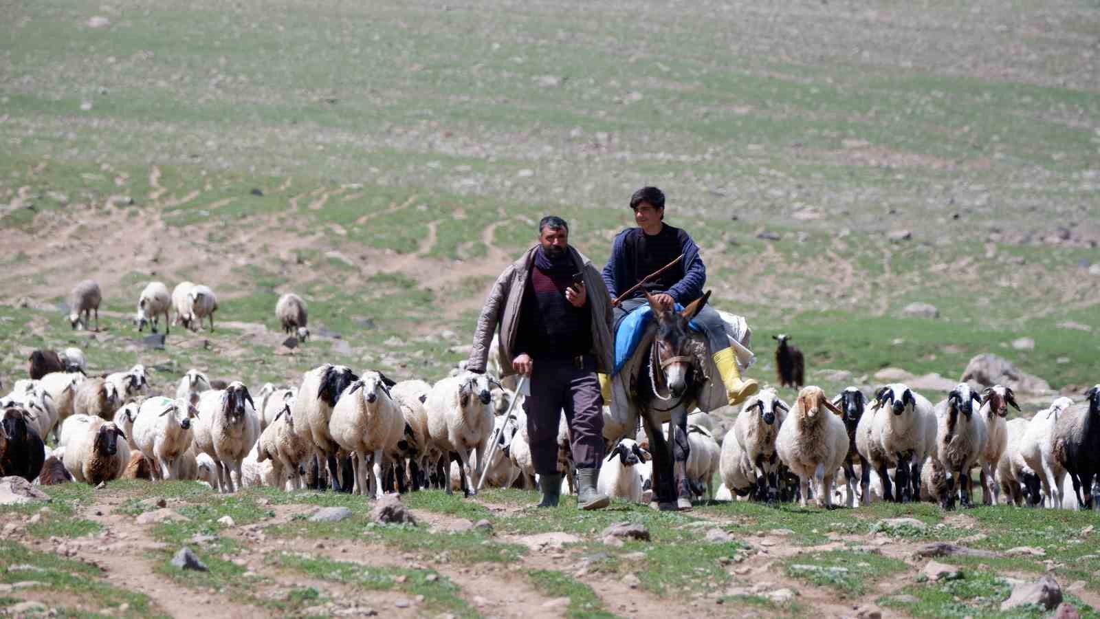 Erzurum’da 3 bin rakımda 3 yüz çadır kurulu
